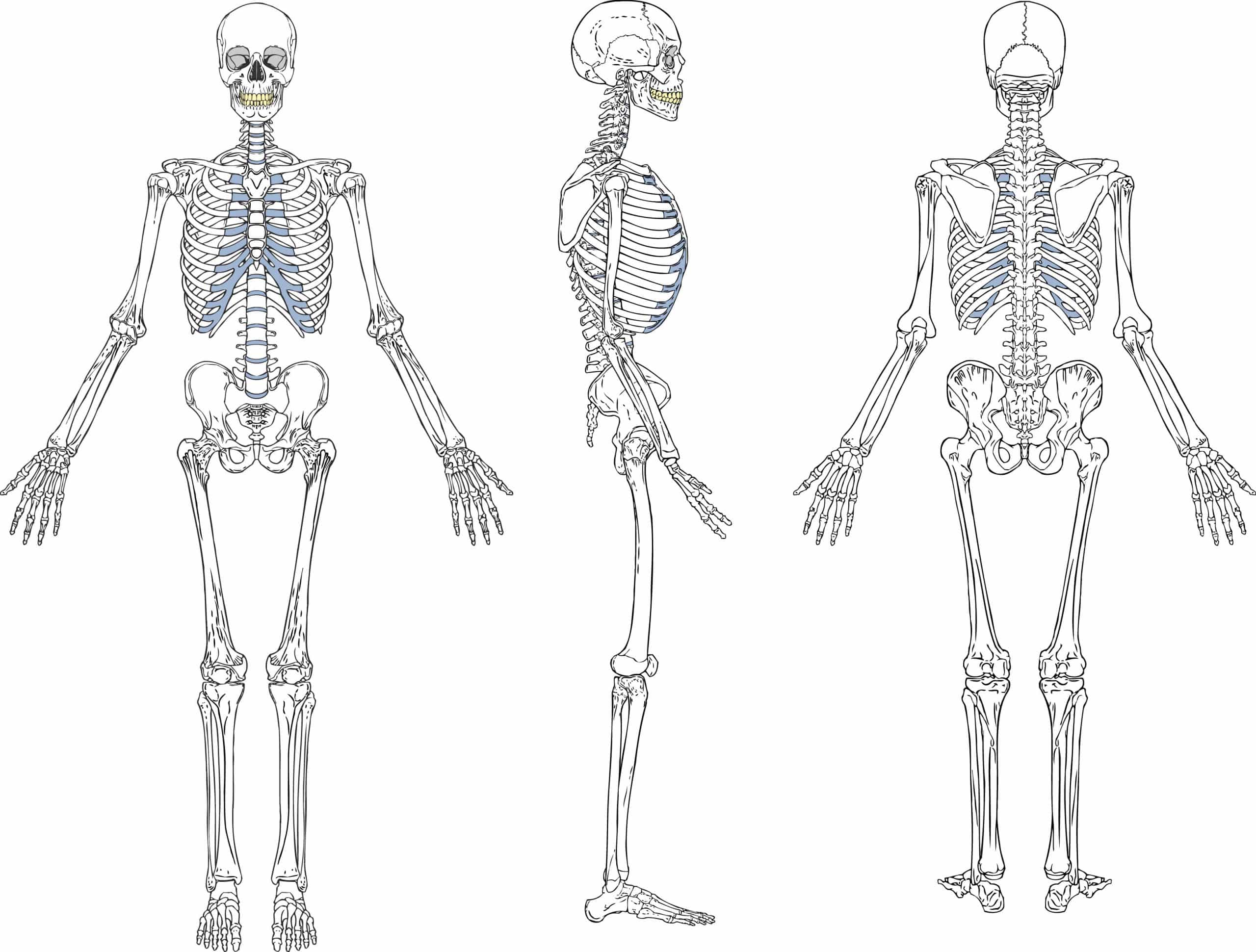 “谷歌搜索结果的解剖”的特色图像